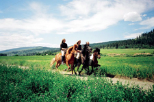 Canada-British Columbia-Beautiful BC on Icelandics